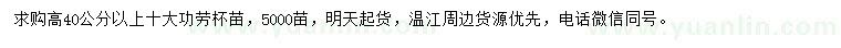 求購(gòu)高40公分以上十大功勞