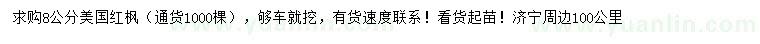 求購8公分美國紅楓