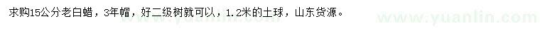 求購15公分老白蠟