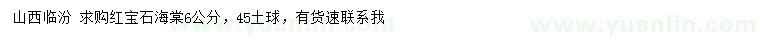 求購(gòu)6公分紅寶石海棠
