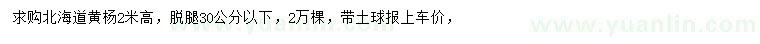 求購(gòu)高2米北海道黃楊