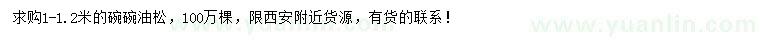 求購1-1.2米油松