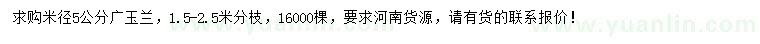 求購米徑5公分廣玉蘭
