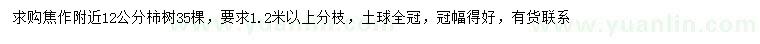 求購12公分柿樹