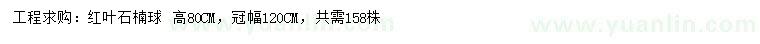求購(gòu)高80公分紅葉石楠球