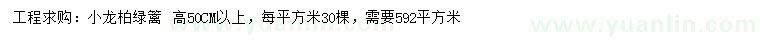 求購高50公分以上小龍柏