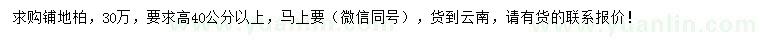 求購高40公分以上鋪地柏