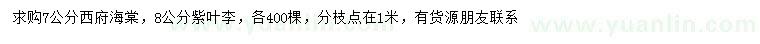 求購(gòu)7公分西府海棠、8公分紫葉李