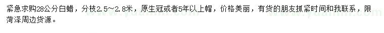 求購28公分白蠟
