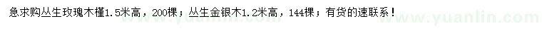 求購(gòu)高1.2米叢生金銀木、1.5米叢生玫瑰木槿