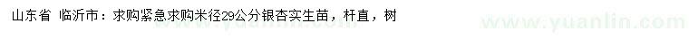 求購米徑29公分銀杏