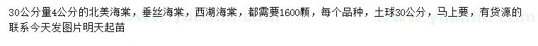 求購30公分量4公分海棠