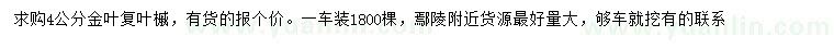 求購4公分金葉復葉槭