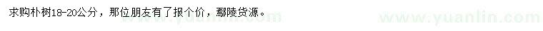 求購18-20公分樸樹