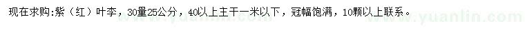 求購(gòu)30量25公分紅葉李