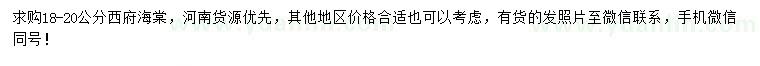 求購(gòu)18-20公分西府海棠