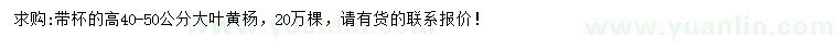 求購(gòu)高40-50公分大葉黃楊