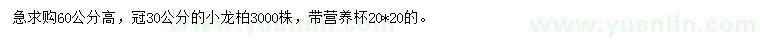 求購高60公分小龍柏