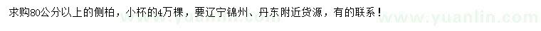 求購80公分以上側(cè)柏