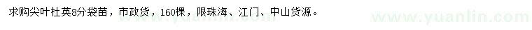 求購8公分尖葉杜英