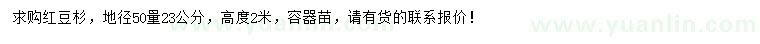 求購50量23公分紅豆杉