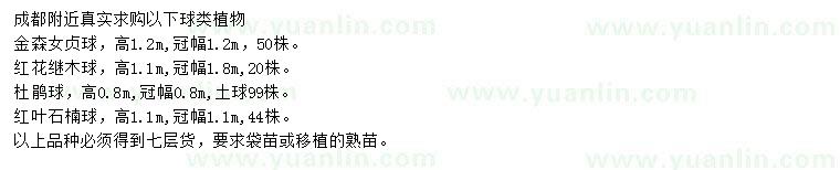 求購(gòu)金森女貞球、紅花繼木球、杜鵑球等