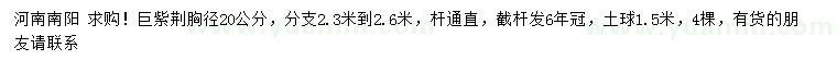 求購胸徑20公分巨紫荊