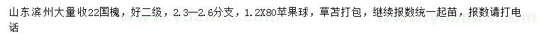 求購22公分國槐
