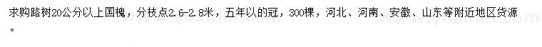 求購20公分以上國槐