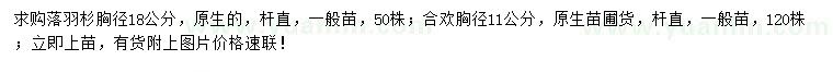 求購胸徑18公分落羽杉、胸徑11公分合歡