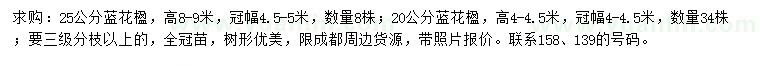 求購25公分藍(lán)花楹