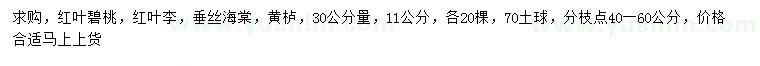 求購(gòu)紅葉碧桃、紅葉李、垂絲海棠等