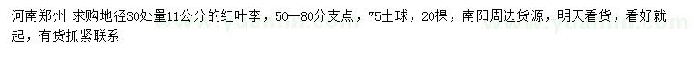 求購30量11公分紅葉李