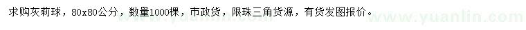 求購80x80公分灰莉球
