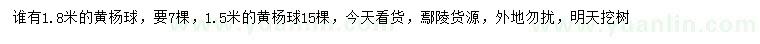 求購1.5、1.8米黃楊球