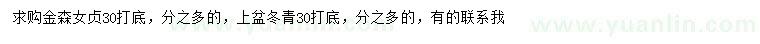 求購(gòu)足30公分金森女貞、冬青