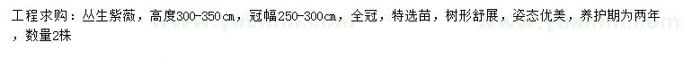 求購高300-350公分叢生紫薇