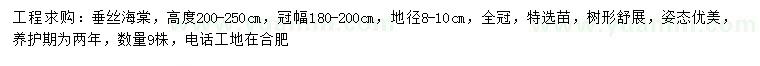 求購高200-250公分垂絲海棠