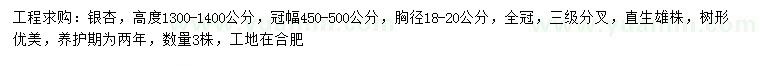 求購高1300-1400公分銀杏