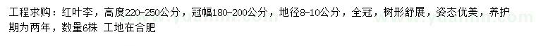 求購(gòu)高220-250公分紅葉李