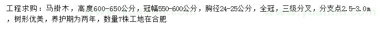 求購高600-650公分馬褂木
