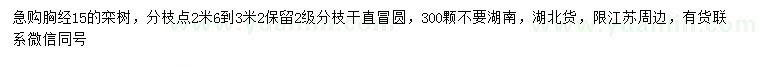 求購胸經(jīng)15公分欒樹