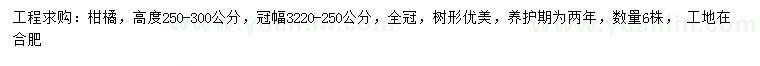 求購高250-300公分柑橘