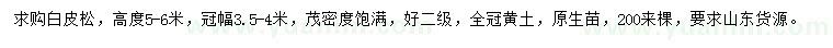 求購高5-6米白皮松