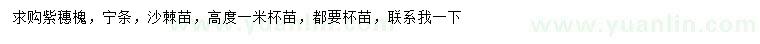 求購紫穗槐、寧條、沙棘苗