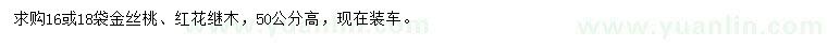 求購高50公分紅花繼木、金絲桃