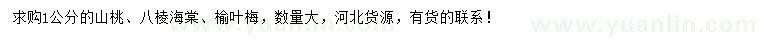 求購山桃、八棱海棠、榆葉梅