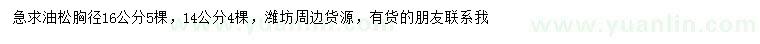 求購胸徑14、16公分油松