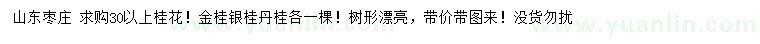 求購金桂、銀桂、丹桂