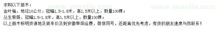 求購(gòu)地徑10公分金葉榆、叢生紫薇